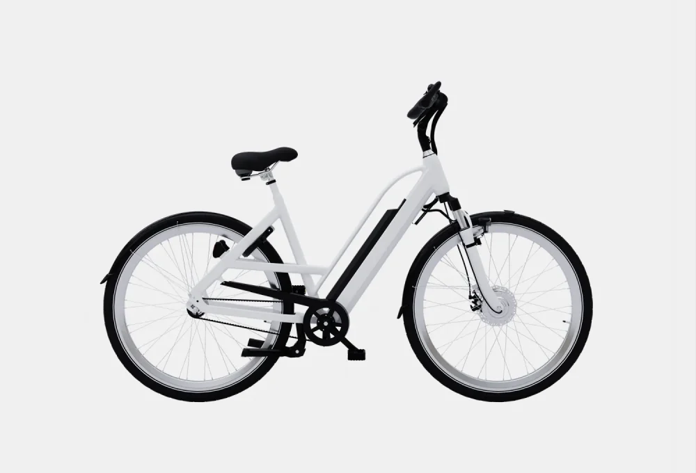 product-image-1 Accumsan Nulla