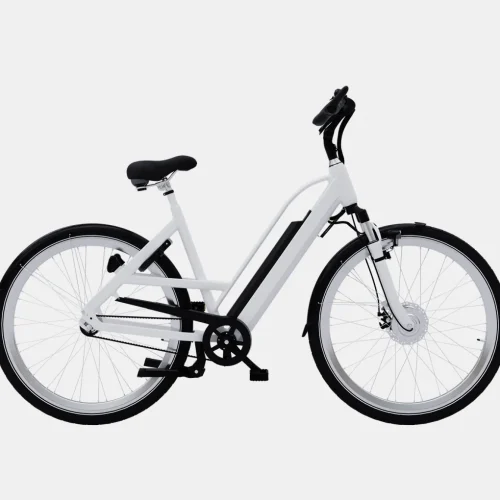 product-image-1 Accumsan Nulla