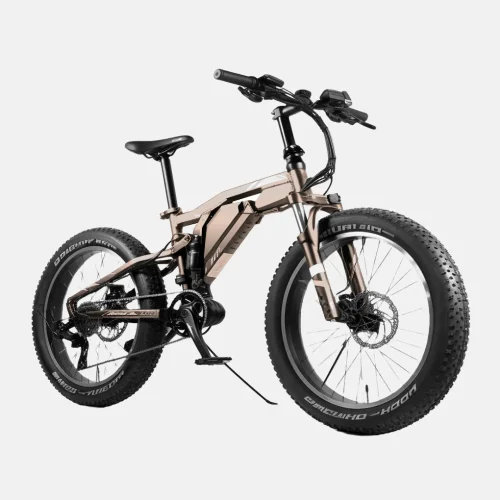 product-image-10 Aliquam Sodales