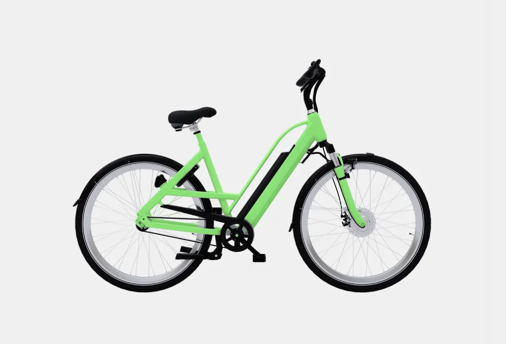 product-image-1_3 Accumsan Nulla