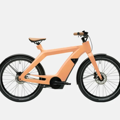 product-image-6_2 Mauris Diam